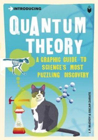 Książka Introducing Quantum Theory J. P. McEvoy