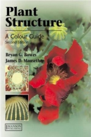 Könyv Plant Structure Bryan G Bowes