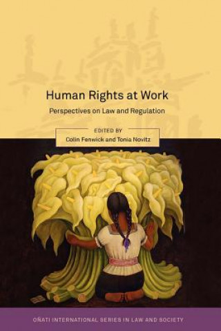 Kniha Human Rights at Work Fenwick