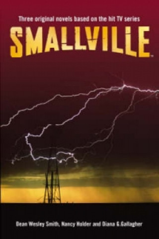 Könyv Smallville Omnibus 2 Dean Wesley Smith