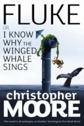 Könyv Fluke Christopher Moore