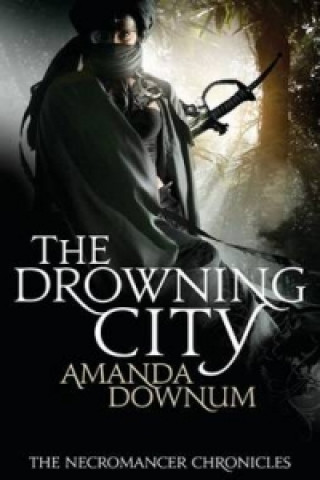 Book Drowning City Amanda Downum