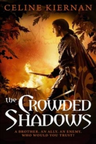 Buch Crowded Shadows Celine Kiernan