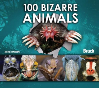 Kniha 100 Bizarre Animals Mike Unwin