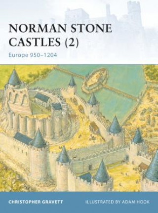 Book Norman Stone Castles (2) Chris Gravett