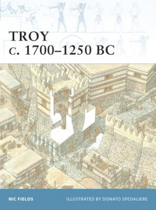 Könyv Troy c. 1700-1250 BC Nic Fields