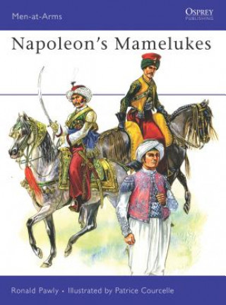 Carte Napoleons Mamelukes Ronald Pawly
