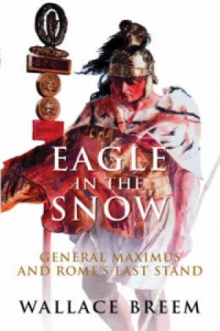 Carte Eagle in the Snow Wallace Breem