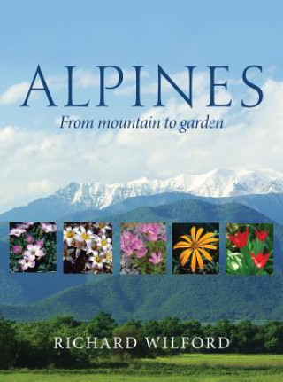 Książka Alpines, from Mountain to Garden Richard Wilford