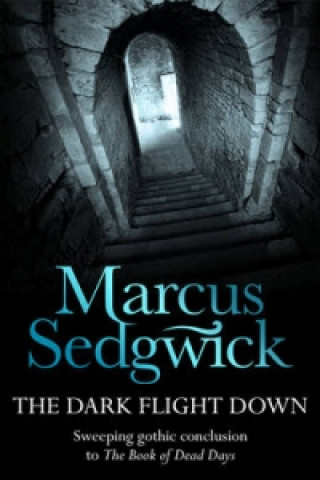 Kniha Dark Flight Down Marcus Sedgwick