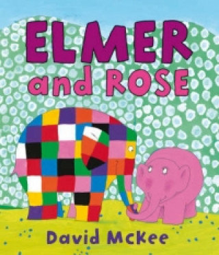 Kniha Elmer and Rose David McKee