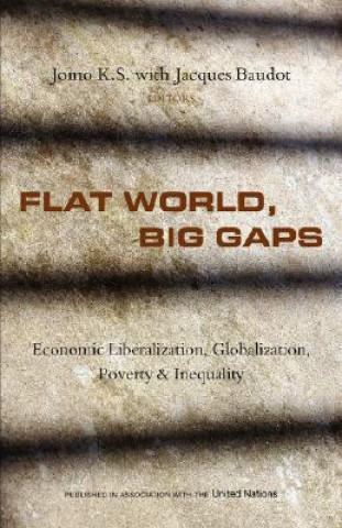 Kniha Flat World, Big Gaps K S Jomo