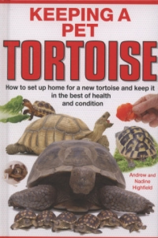 Kniha Keeping a Pet Tortoise Andy Highfield