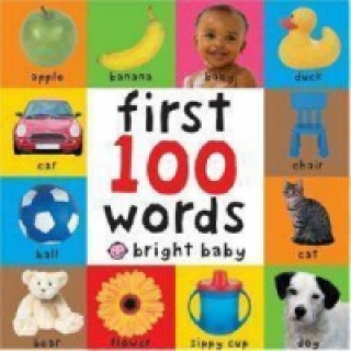 Knjiga First 100 Words Roger Priddy