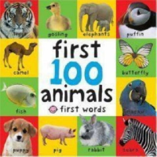 Kniha First 100 Animals Roger Priddy