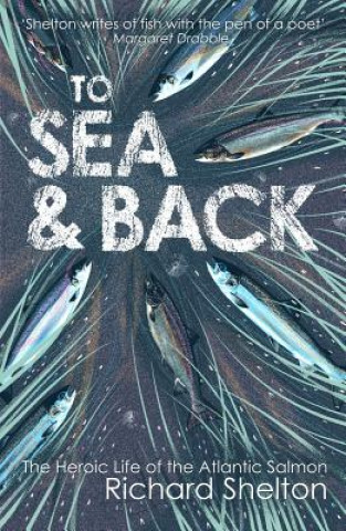 Книга To Sea and Back Richard Shelton