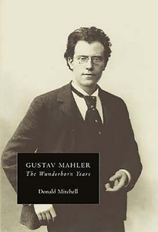 Kniha Gustav Mahler: The Wunderhorn Years Donald Mitchell