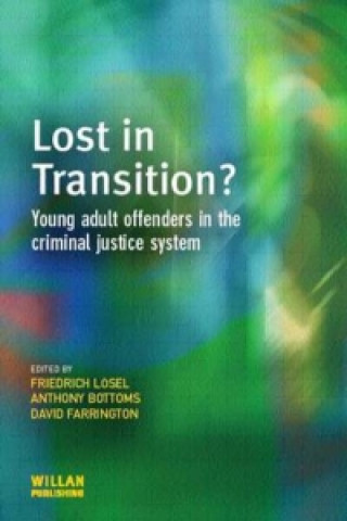 Kniha Young Adult Offenders 