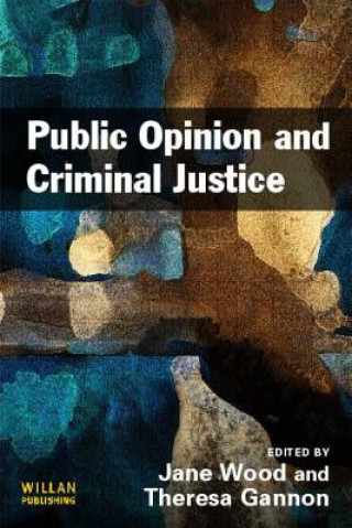 Kniha Public Opinion and Criminal Justice Jane Wood