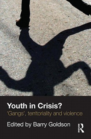 Livre Youth in Crisis? Barry Goldson