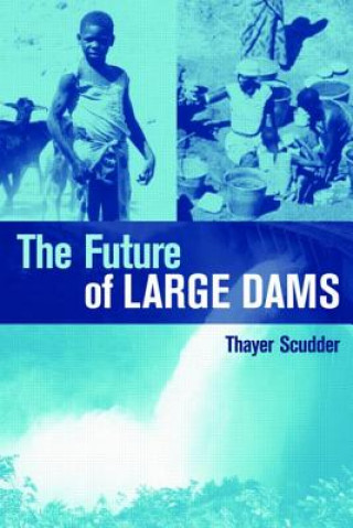 Kniha Future of Large Dams Thayer Scudder