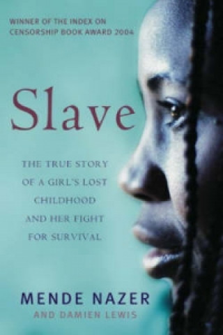 Книга Slave Damien Lewis