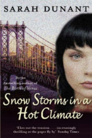 Könyv Snow Storms In A Hot Climate Sarah Dunant