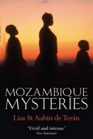 Buch Mozambique Mysteries Lisa St Aubin de Teran