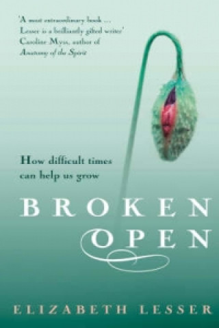Kniha Broken Open Elizabeth Lesser