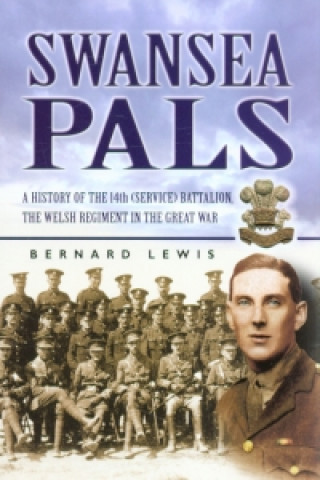 Kniha Swansea Pals Bernard Lewis