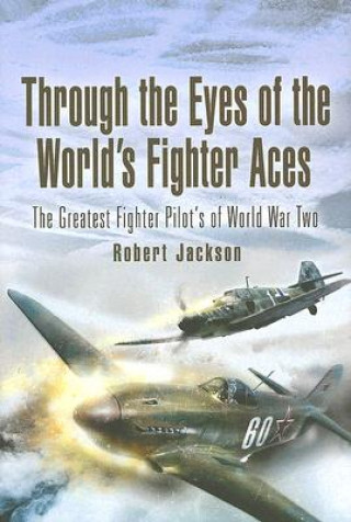 Könyv Through the Eye's of  Aces Robert Jackson