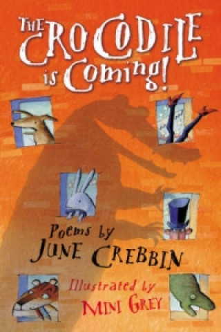 Kniha Crocodile Is Coming! June Crebbin