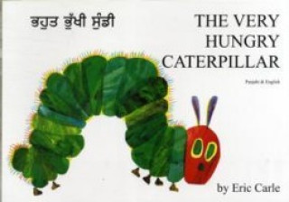 Carte Very Hungry Caterpillar (Punjabi and English) Eric Carle