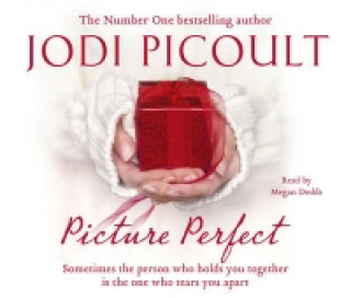 Audio Picture Perfect Jodi Picoult