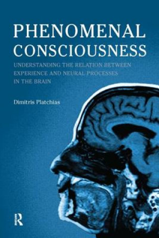 Βιβλίο Phenomenal Consciousness Dimitris Platchias