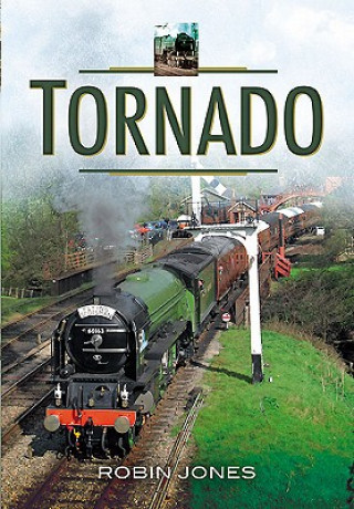 Kniha Tornado Robin Jones