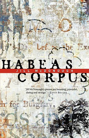 Buch Habeas Corpus Jill McDonough