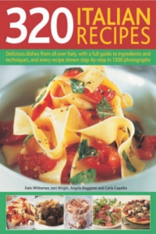 Kniha 320 Italian Recipes 