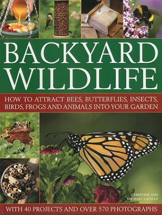 Carte Backyard Wildlife Christine Lavelle