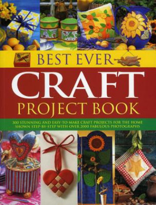 Carte Best Ever Craft Project Book Lucy Painter