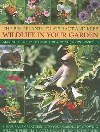 Könyv Best Plants to Attract and Keep Wildlife in the Garden Christine Lavelle