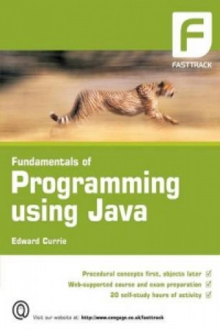 Knjiga Fundamentals of Programming using Java Edward Currie