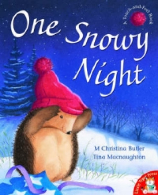 Könyv One Snowy Night Christina Butler