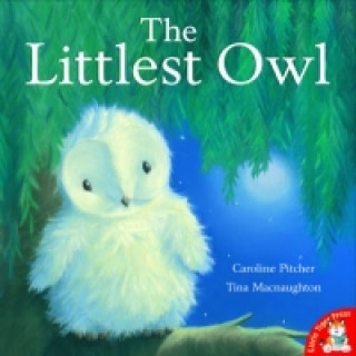 Knjiga Littlest Owl Catherine Pitcher