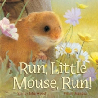 Kniha Run, Little Mouse, Run! Shirley Isherwood