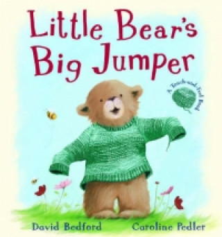Carte Little Bear's Big Jumper David Bedford