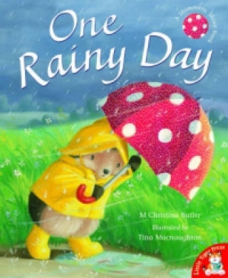 Книга One Rainy Day Tina Macnaughton