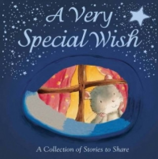 Knjiga Very Special Wish Various