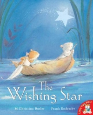 Kniha Wishing Star Christina Butler