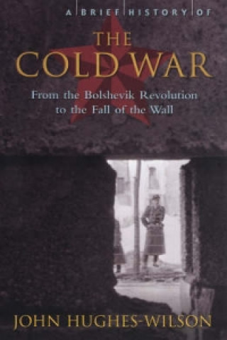 Könyv Brief History of the Cold War John Hughes-Wilson